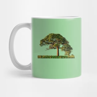 The tree of life Mug